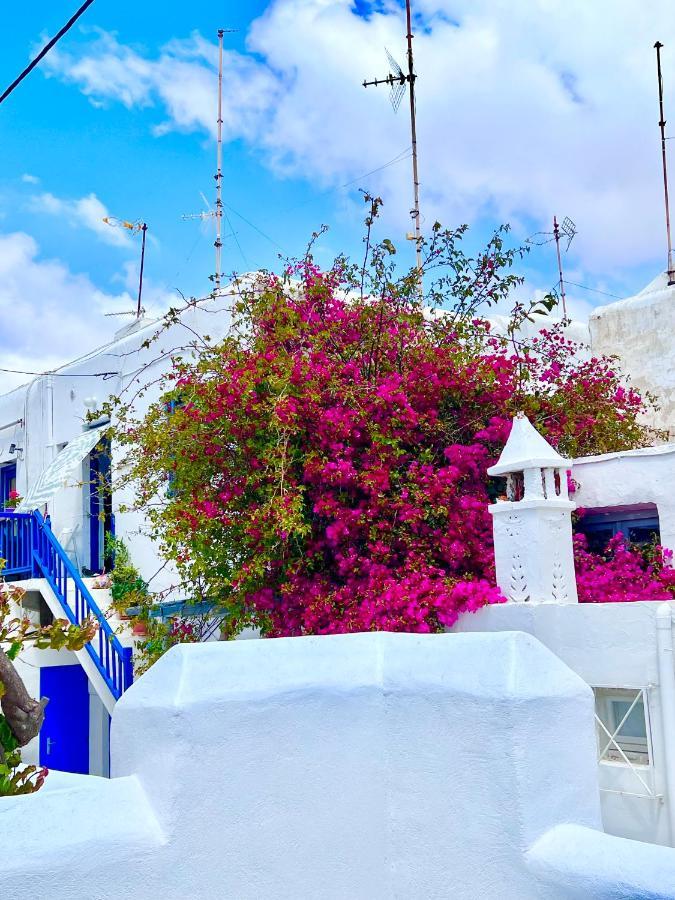 Provis Rentals Suite Next To The Mills In Mykonos Town Exterior photo